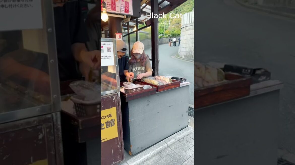 ✨ Path of Light in Fukuoka | Hikari no Michi Travel Vlog 🌅🚗🍡 #japan #journeytonippon  #fukuoka