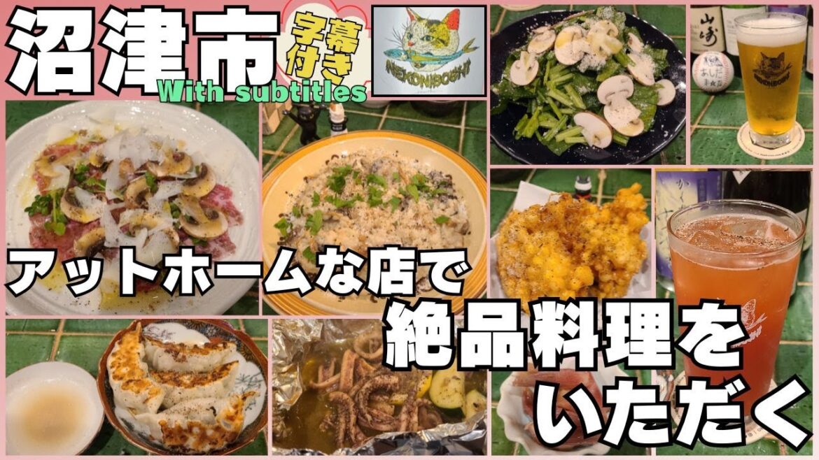 【沼津市】隠れた名店!?地元民に大人気の店 猫煮干 #沼津市 #グルメ #イタリアン #ラーメン #猫煮干 #美味しい #字幕付き #伊豆のグルメライダーたけちよ