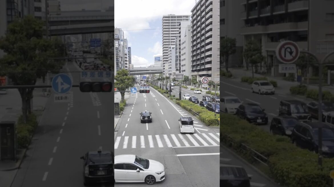 Osaka in Motion from Above  🇯🇵 | Calm POV Crossing with City Sounds
