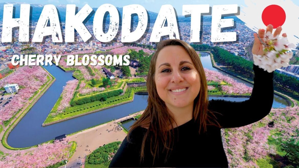 STUNNING Japanese Cherry Blossom tree in Hakodate 🇯🇵 (Goryōkaku Fort) STUNNING Japanese Cherry Blossom tree in Hakodate 🇯🇵 (Goryōkaku Fort)