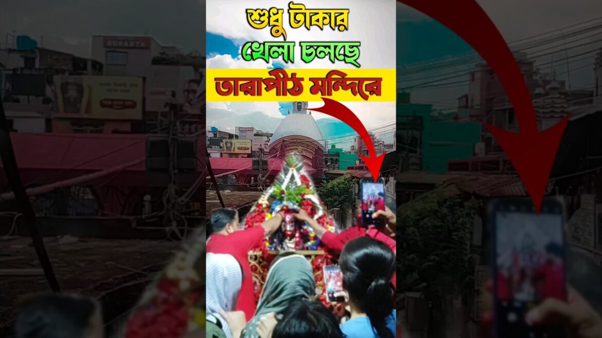 পুরো ব্যবসা চলছে এখন তারাপীঠ মন্দিরে 😔 || Tarapith Tour || Tarapith Mandir #shorts
