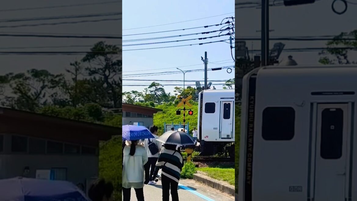 Uminonakamichi Train station #train #fukuoka #japan