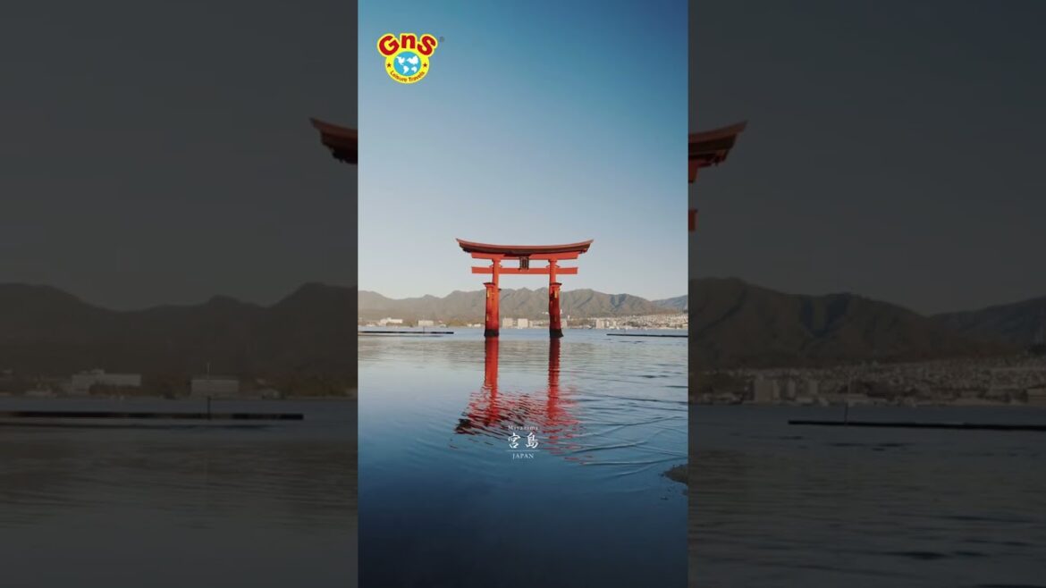 Don’t Miss Out – Japan Tour Nov 6 – Book Today