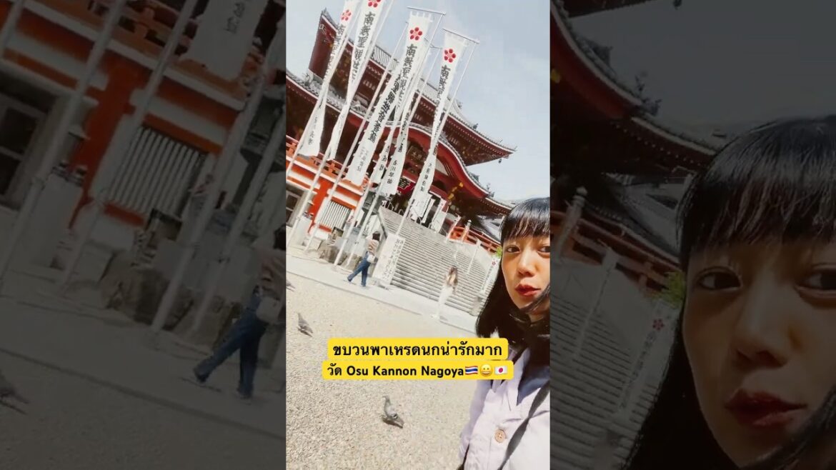 #notto #solo #solotravel #nagoya #japantravel #travel #shorts #japanese