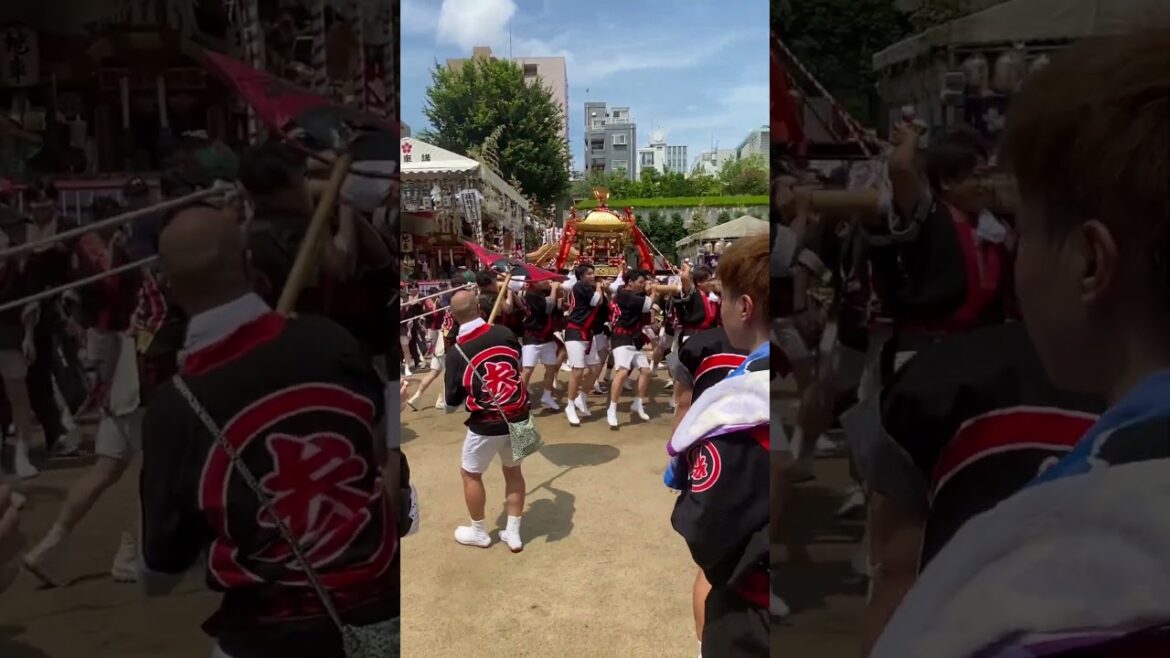 Osaka Tenjin Matsuri Festival. 大阪夏日里最有趣的观光活动-天神祭 #japan #art #travel #cute #diy #funny #event #cat