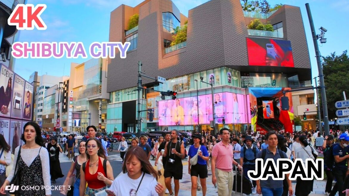 Walking Tour from Harajuku to Shibuya. Tokyo, Japan.