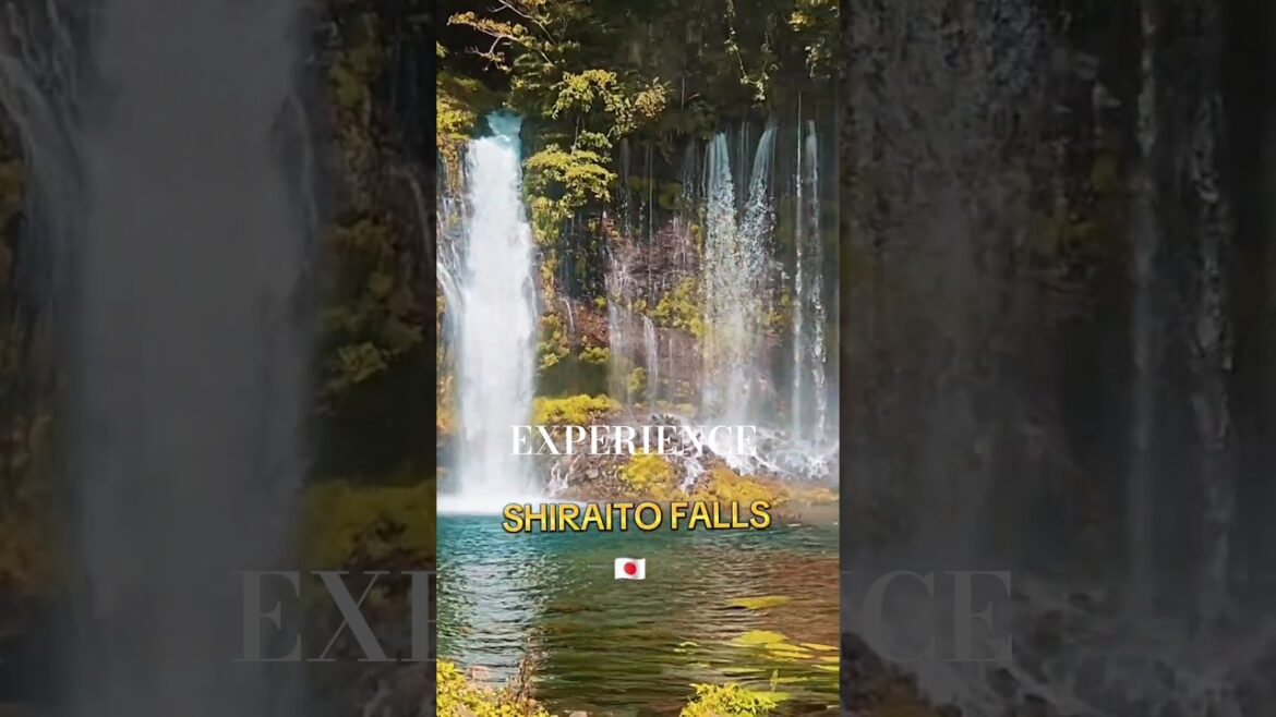 Experience Mt. Fuji Waterfalls 🇯🇵