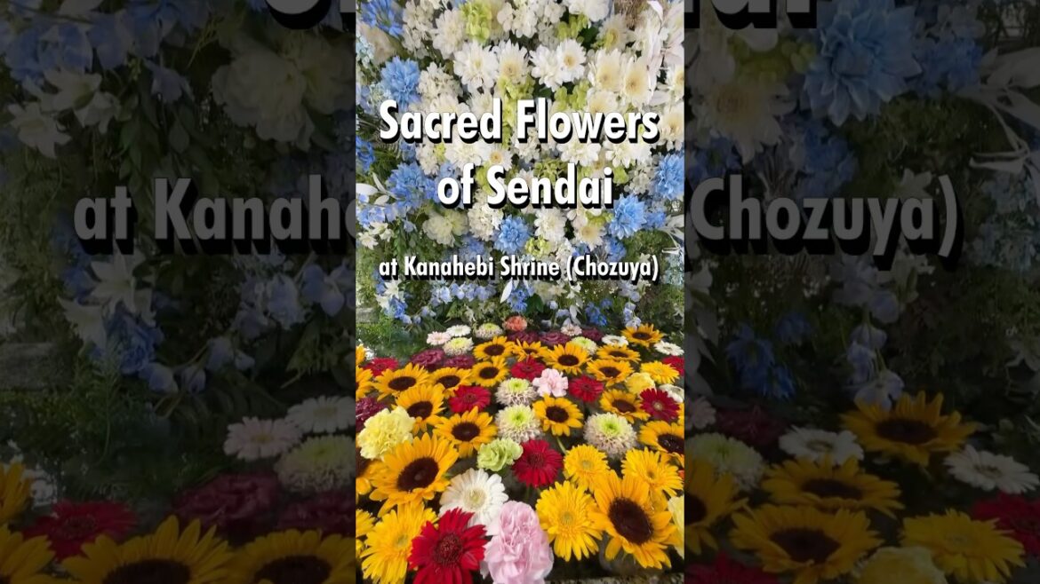 Sendai in 52 Seconds | Japan Travel – Temples, Festivals & Food　 #JapanTravel #Sendai #Matsushima