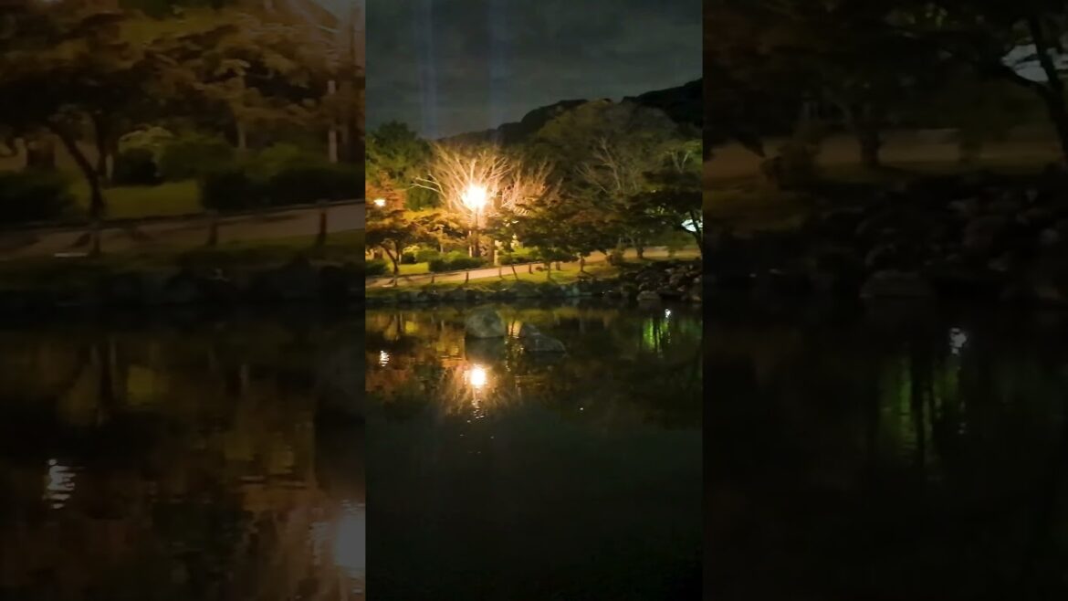 Park walks in Kyoto at night 🇯🇵 #shorts #Japan #travel