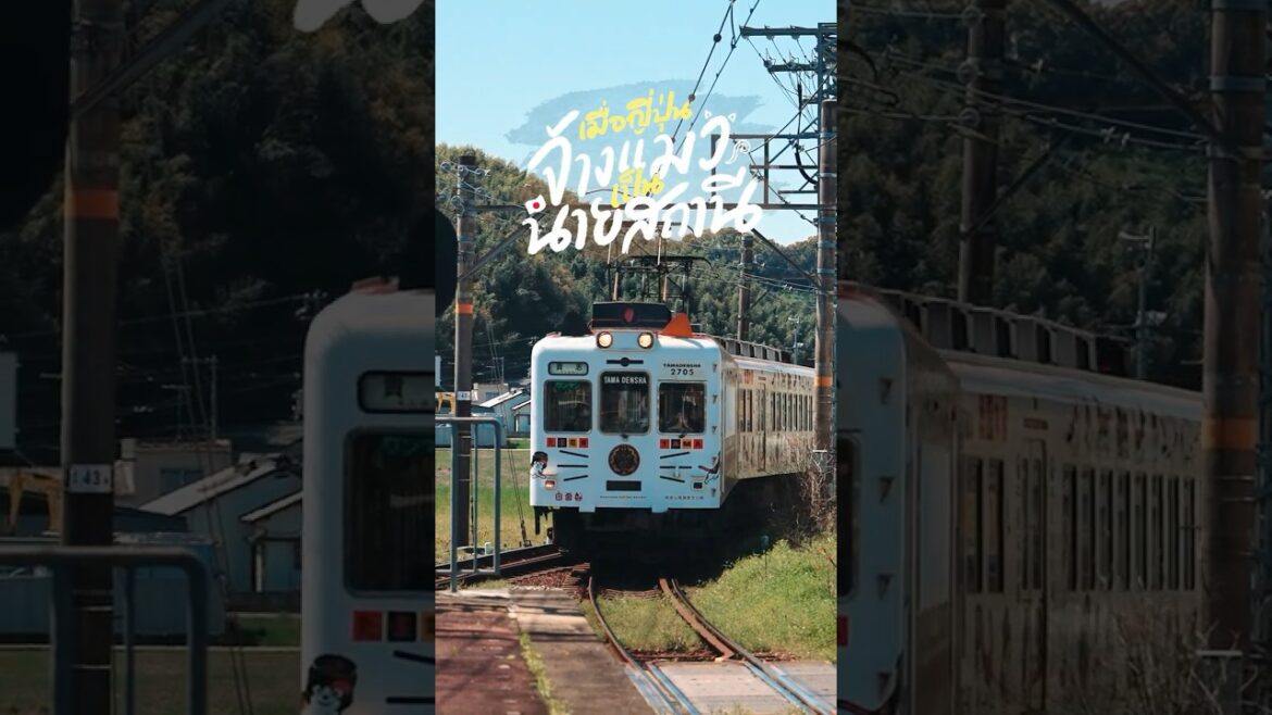 รถไฟขบวนนี้มีนายสถานีเป็นแมวเหมียว! Wakayama