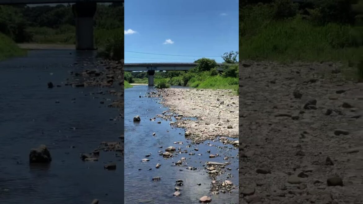 Hongo river in Kakegawa #relax #peace #love #japan