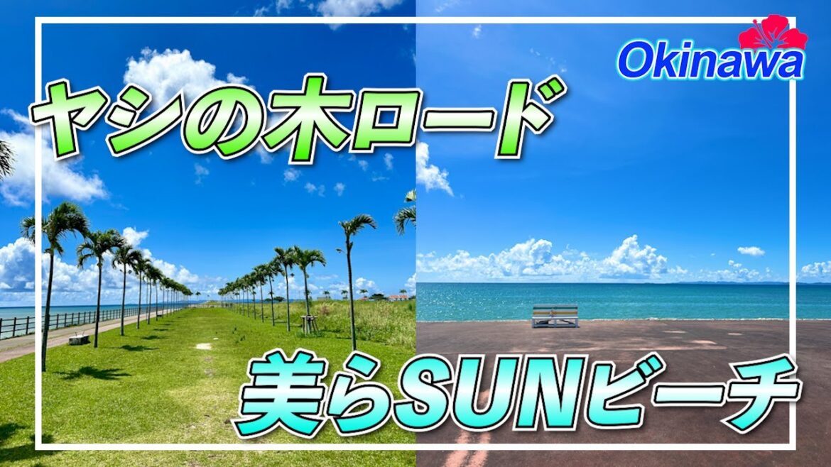 【沖縄映えスポット】ヤシの木ロード&美らSUNビーチ|Okinawa Photo Spot: Palm Road & ChuraSUN Beach 【沖縄映えスポット】ヤシの木ロード&美らSUNビーチ|Okinawa Photo Spot: Palm Road & ChuraSUN Beach