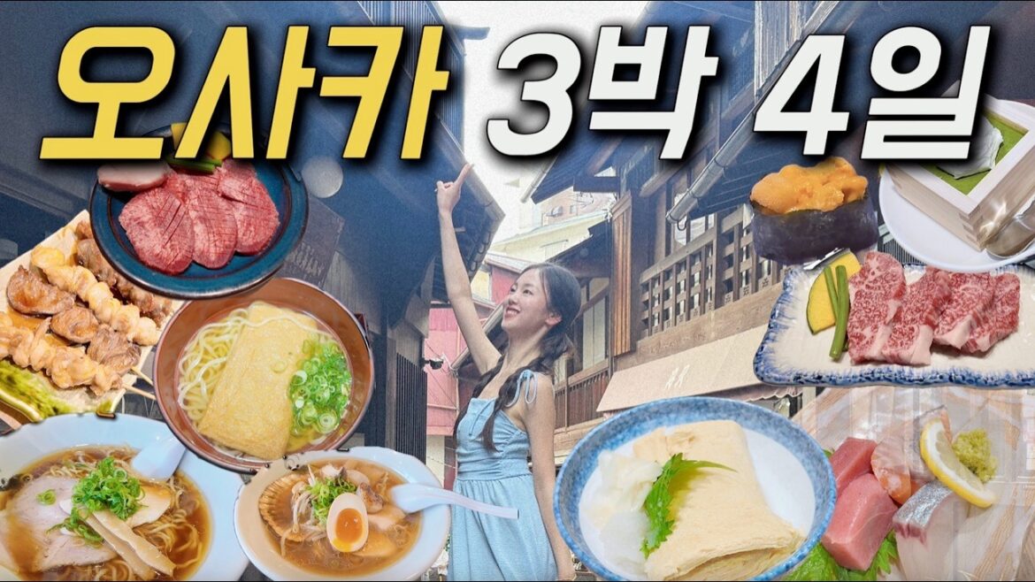 [몰아보기📺] 일본여행 초보 필수 영상 ✅  오사카 →고베 →교토 3박 4일 코스 완벽 가이드 ✈️ | 일본 여행 브이로그 | 여행 유튜버