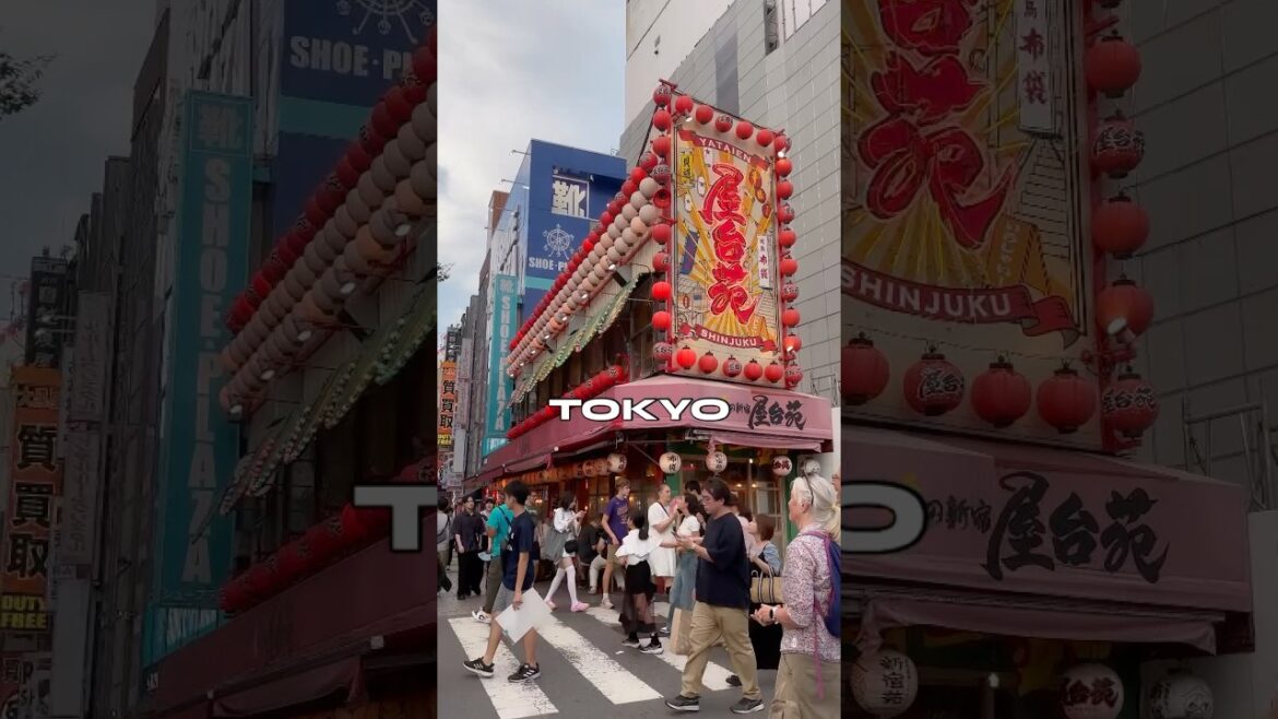 Tokyo Day 1 Itinerary | Shinjuku, Shibuya, Rikugien Gardens & More (22,000 Steps!) Tokyo Day 1 Itinerary | Shinjuku, Shibuya, Rikugien Gardens & More (22,000 Steps!)