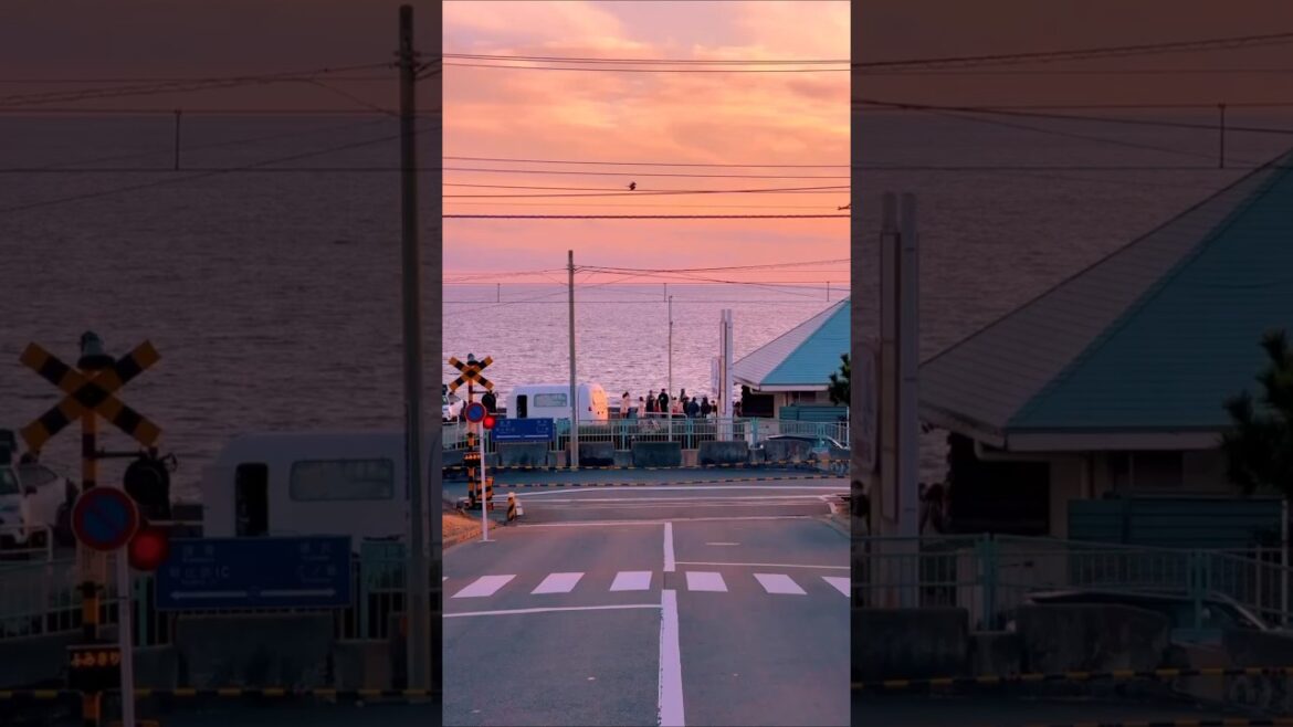 Top 5 Places to Visit in Japan π―π΅ | Mount Fuji, Disneyland, Osaka Castle & More Top 5 Places to Visit in Japan π―π΅ | Mount Fuji, Disneyland, Osaka Castle & More