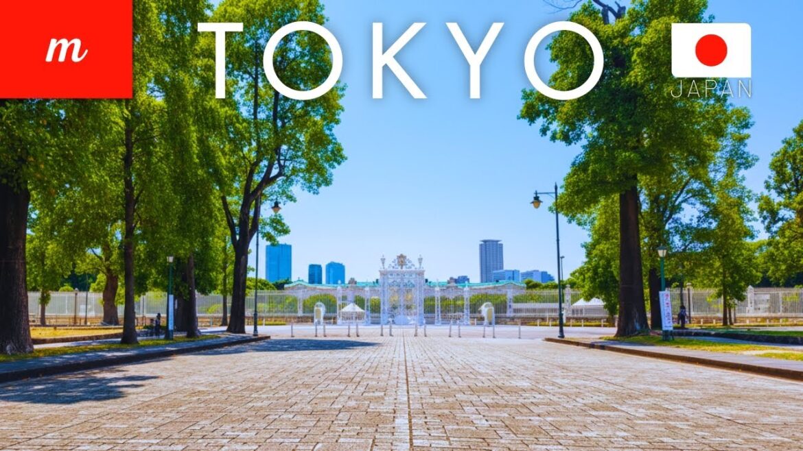 Yotsuya Walking Tour: Planning Your Tokyo Trip with Google Maps Yotsuya Walking Tour: Planning Your Tokyo Trip with Google Maps