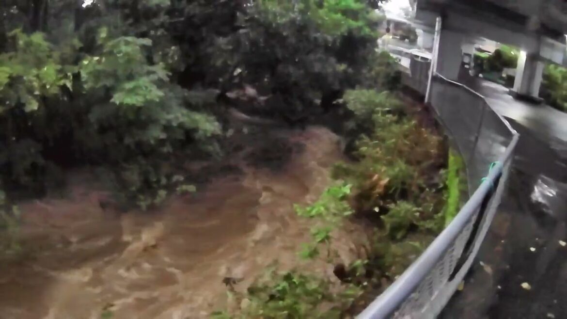 Typhoon 12 Neighborhood Footage- Kagoshima, Japan August 2025 Typhoon 12 Neighborhood Footage- Kagoshima, Japan August 2025