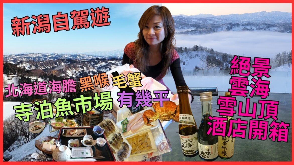 [新潟自駕遊 絕景 雲海 酒店開箱] 寺泊魚市場 買 新潟名魚 黑喉｜¥1000 一板北海道海膽｜¥1000 活毛蟹｜ 芝峠山 海拔 380米 山頂酒店｜猛烈雪山 打卡 景｜まつだい芝峠温泉 雲海
