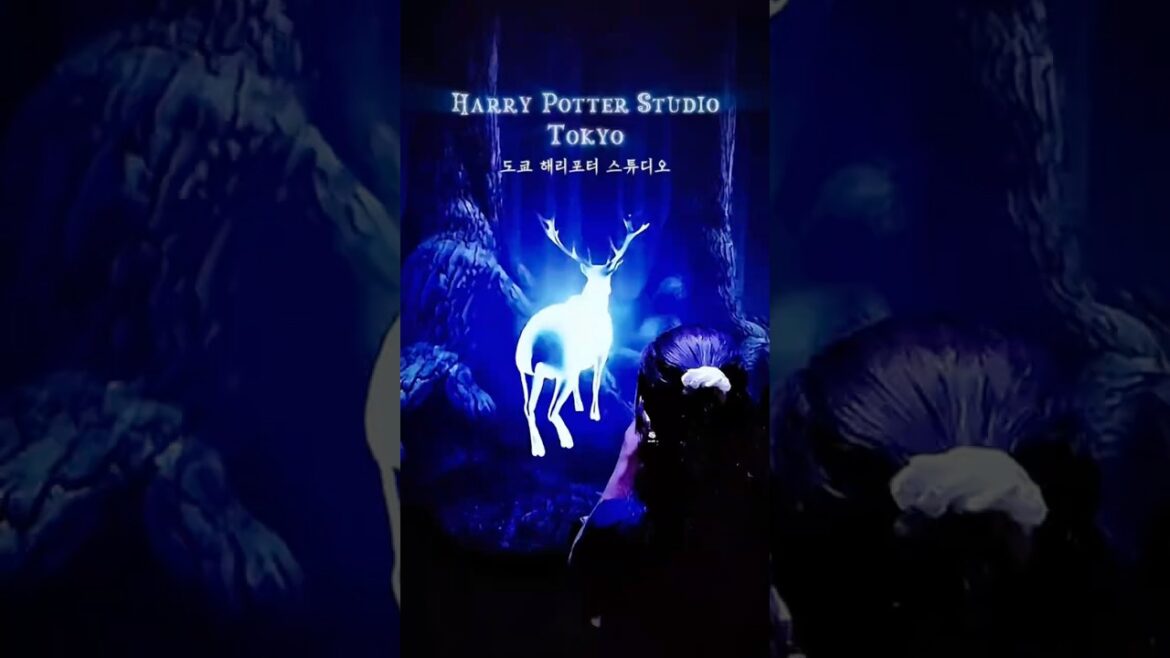 🔥 도쿄 해리포터 스튜디오 투어 🪄 시네마틱 🎬 | Harry Potter Studio Tour Tokyo | Cinematic