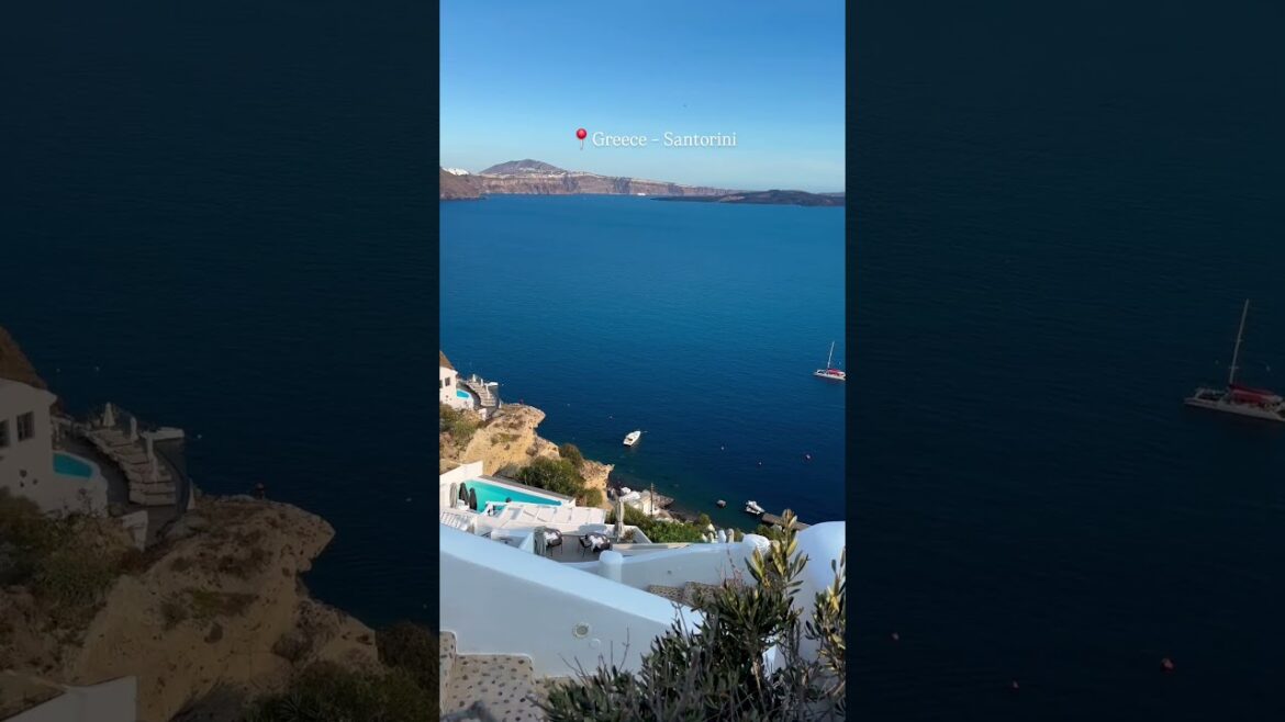 #short #shorts #shortshort #shortsss #shortvideo #shortsvideos #shortsviral #shortsfeed #shortsvideo #short #shorts #shortshort #shortsss #shortvideo #shortsvideos #shortsviral #shortsfeed #shortsvideo