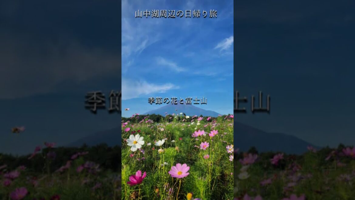 山中湖周辺で巡りたい素敵な場所#朝日に染まる赤富士
