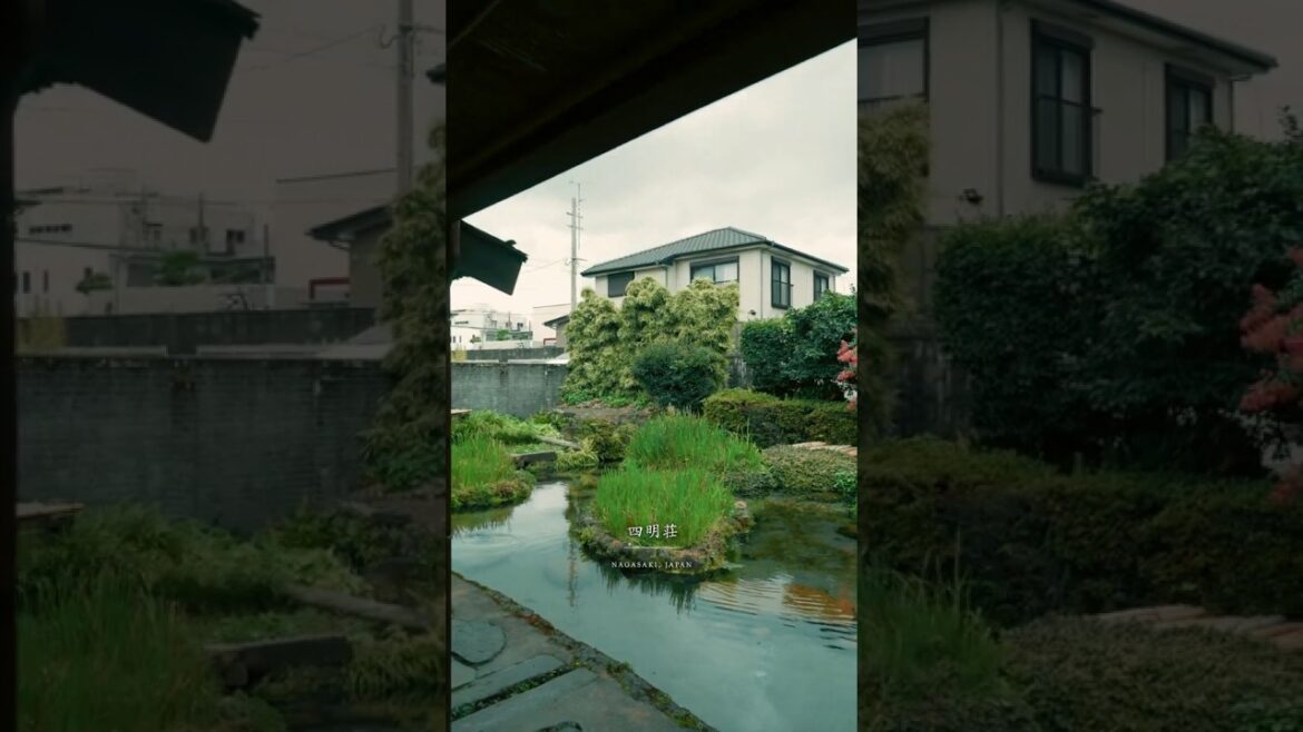 【Japan Travel】長崎の美しい庭園 🌸 | Nagasaki Beautiful Japanese Garden Tour | জাপান ট্রাভেল ভ্লগ 【Japan Travel】長崎の美しい庭園 🌸 | Nagasaki Beautiful Japanese Garden Tour | জাপান ট্রাভেল ভ্লগ