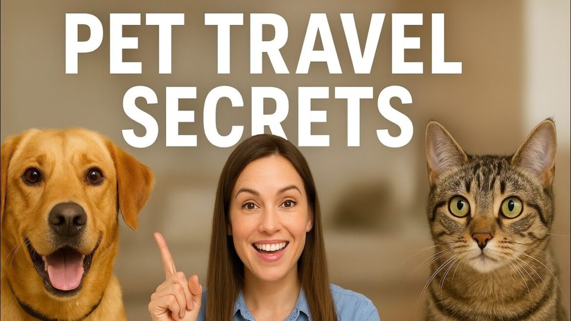 Pet Travel Secret: What Airlines & Cruises Won’t Tell You About Pets! ✈️🛳 🐶🐱