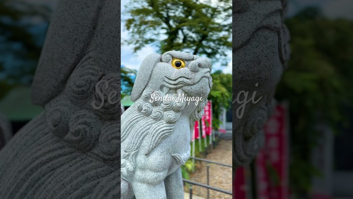 #japan #miyagi #sendai #trip #stroll #reels #日本 #宮城 #仙台 #旅行 #散歩