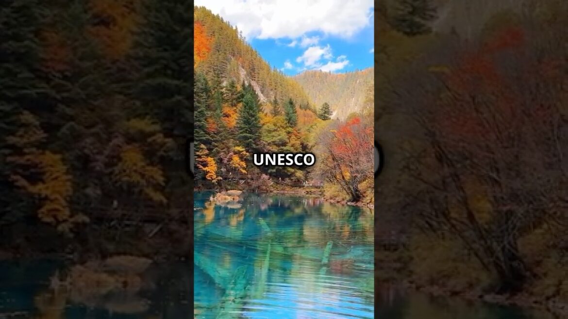 Best Fall Foliage Destinations 2025: Top 5 Places to See Peak Autumn Colors🍁