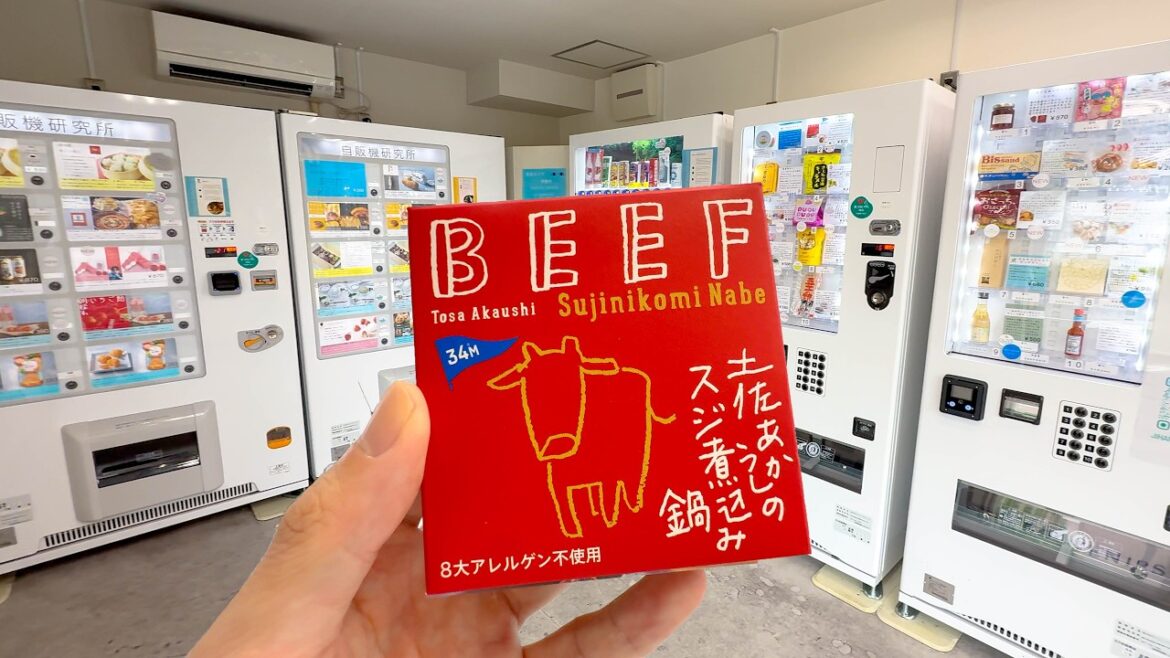 Unique Vending Machines in Japan | Vending machine research institute 🍓🍋🍠