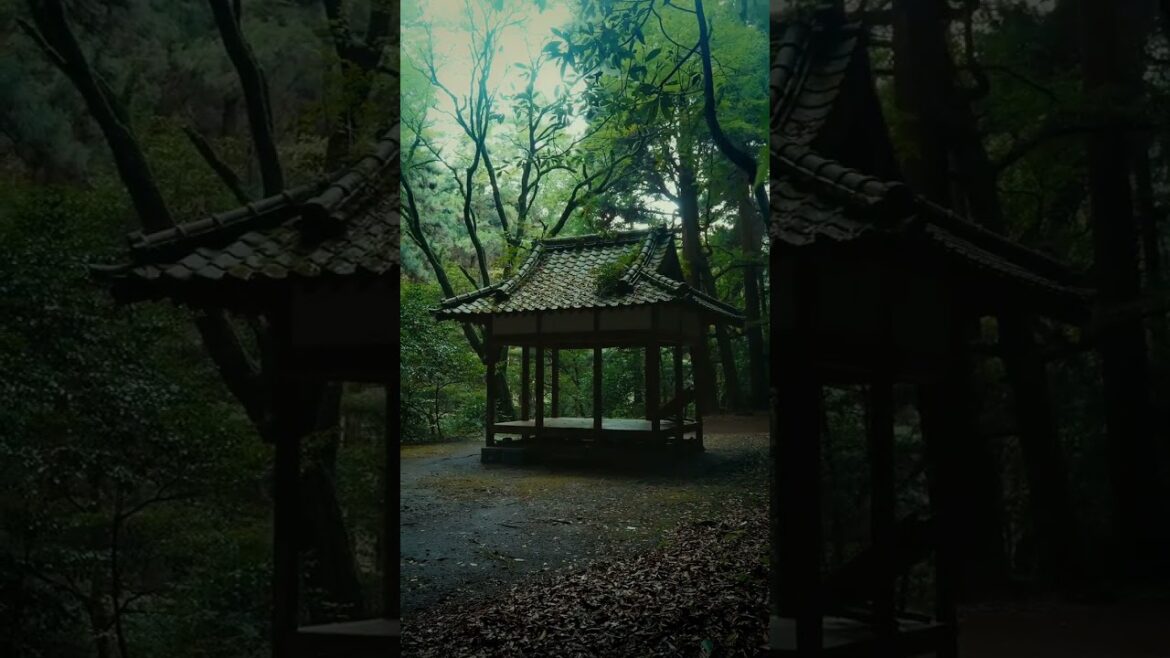 ⛩️ Hidden in the misty mountains of Nagasaki lies a sacred gem