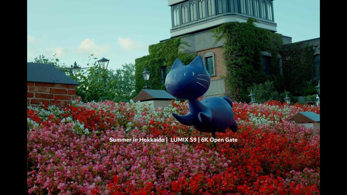 Summer in Hokkaido | Shot on LUMIX S9 in 6K Open Gate Summer in Hokkaido | Shot on LUMIX S9 in 6K Open Gate