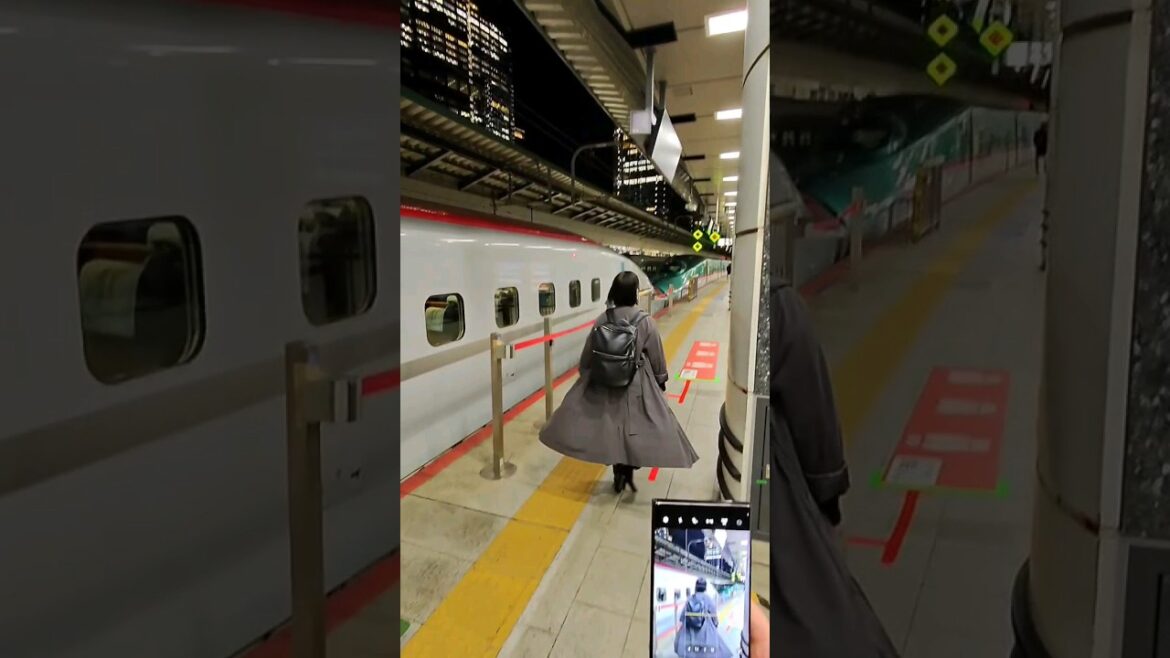 The Akita Shinkansen in Tokyo Station sleek, fast, and always on time! ๐#AkitaShinkansen #Shinkansen The Akita Shinkansen in Tokyo Station sleek, fast, and always on time! ๐#AkitaShinkansen #Shinkansen