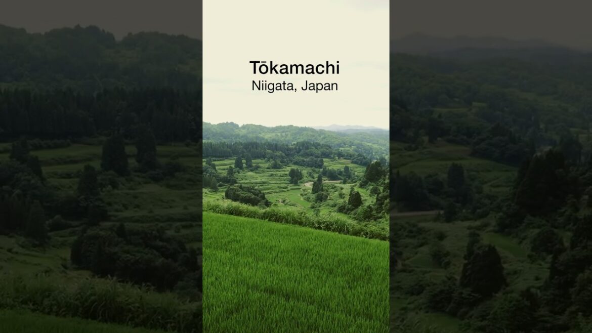 Japanese Terraced Rice Field — Hoshitouge, Niigata — Echigo-Tsumari Japanese Terraced Rice Field — Hoshitouge, Niigata — Echigo-Tsumari