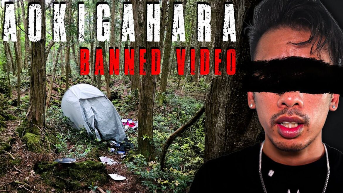We Found Disturbing Things in Japans Most Haunted Forest (Aokigahara Forest)