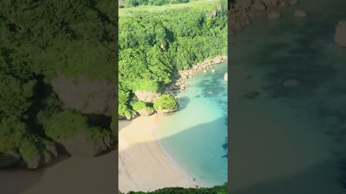 Okinawa’s best beach #okinawa #okinawaisland #beaches #japan #island #travel #nature #japanvlog