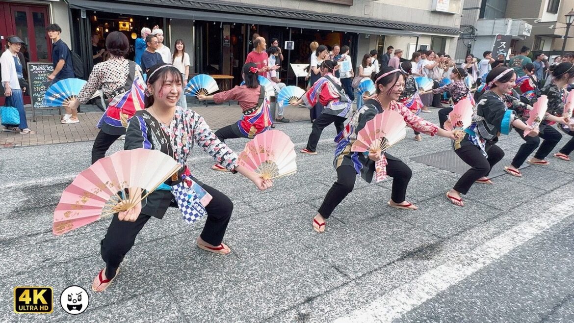 【 成田伝統芸能まつり 】仙台すずめ踊り： 娘すずめ。　秋の陣：伝統芸能パレード