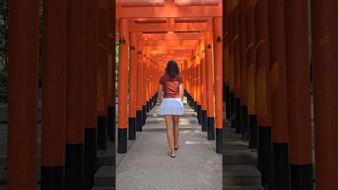Ikuta-jinja Shrine 生田神社 #kobe #japan @BCL.COSMIN