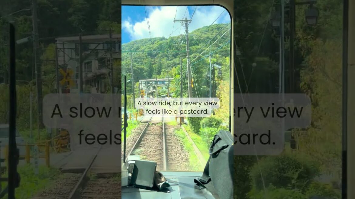 Hakone Tozan Train | Japan’s Mountain Railway