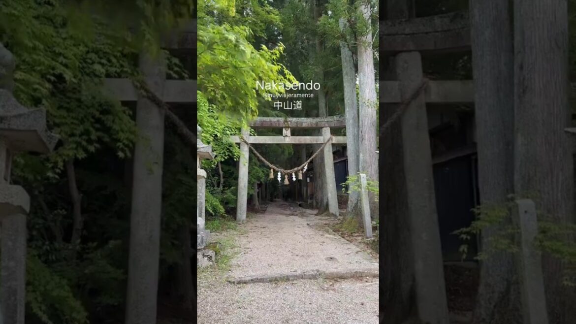 NAKASENDO TRAIL❤️🇯🇵⛩️ #japantravel #japan #shorts #viral #nature #traveldestinations