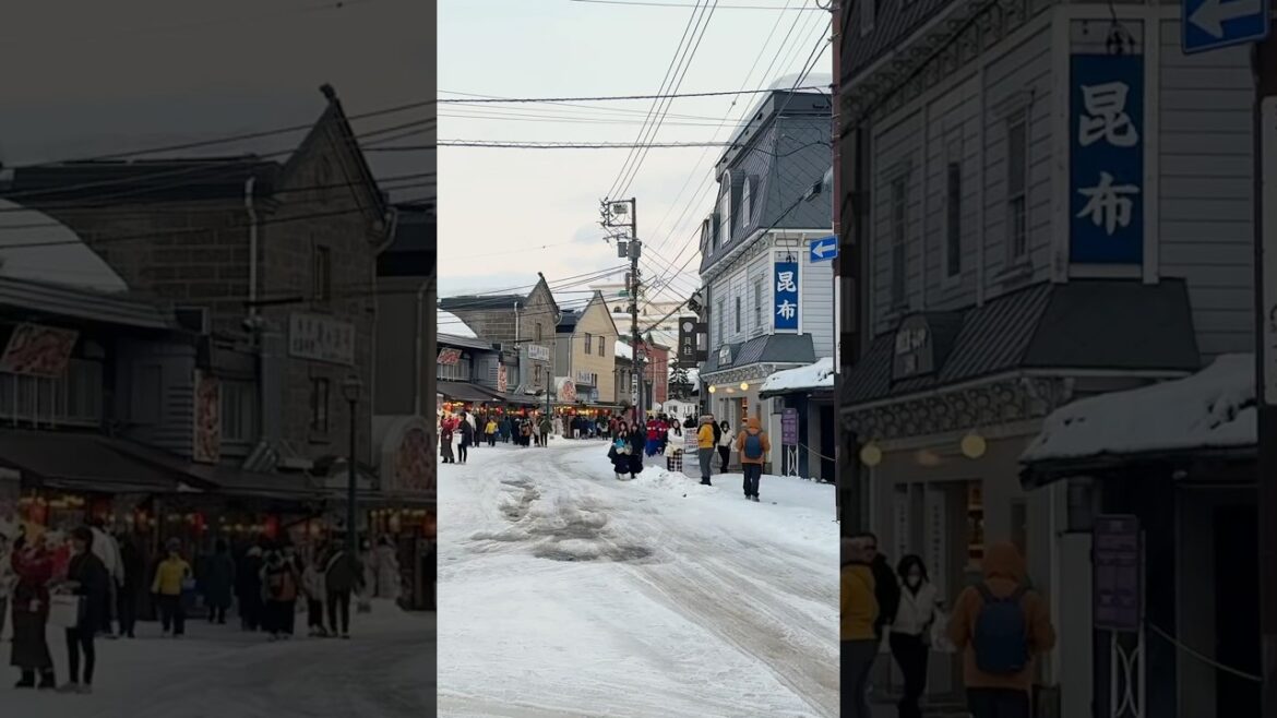 Otaru, Hokkaido 🌨️🤍🕊️#20250217 #小樽 #北海道 #Otaru #Hokkaido #Japan #silentvlog