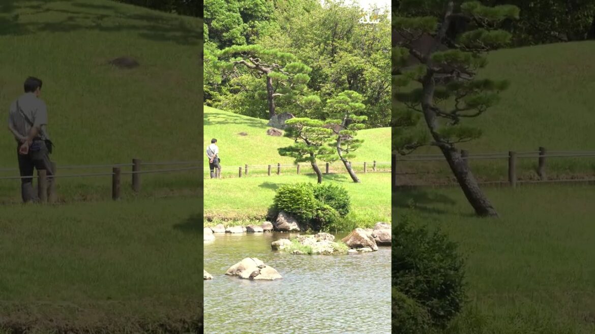 Japon | Kumamoto | Voyage au cœur d'un jardin de sérénité #paysagemagnifique #nature #travel #japan
