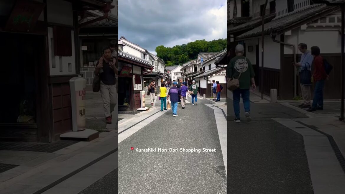 Kurashiki Hon-dori Street #japantravel #kurashiki #shorts #japan #trip #japon #viajes