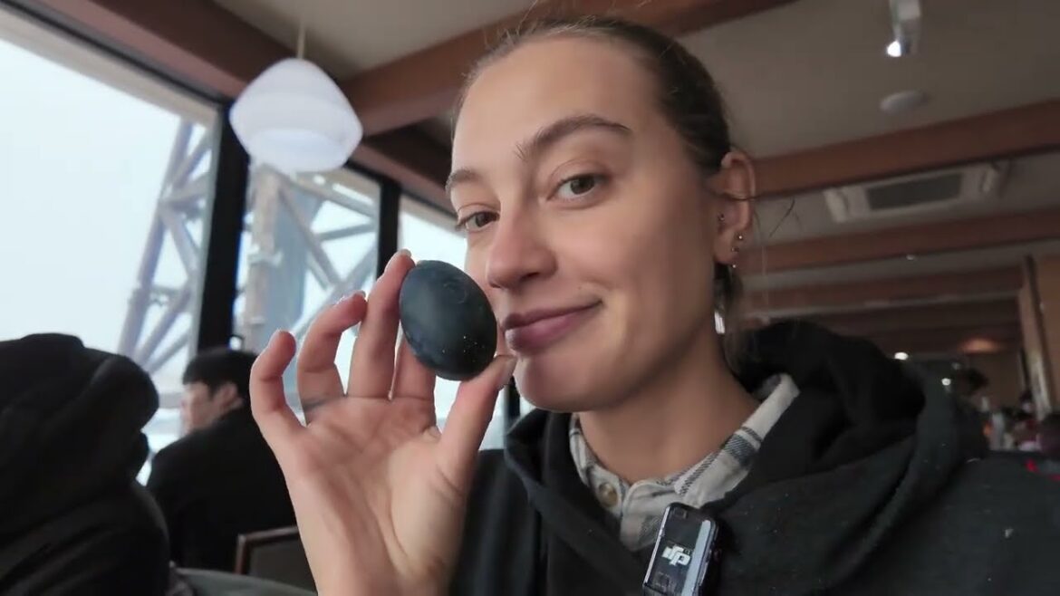 Food & Adventures: Our 7 City Japan Travel Vlog