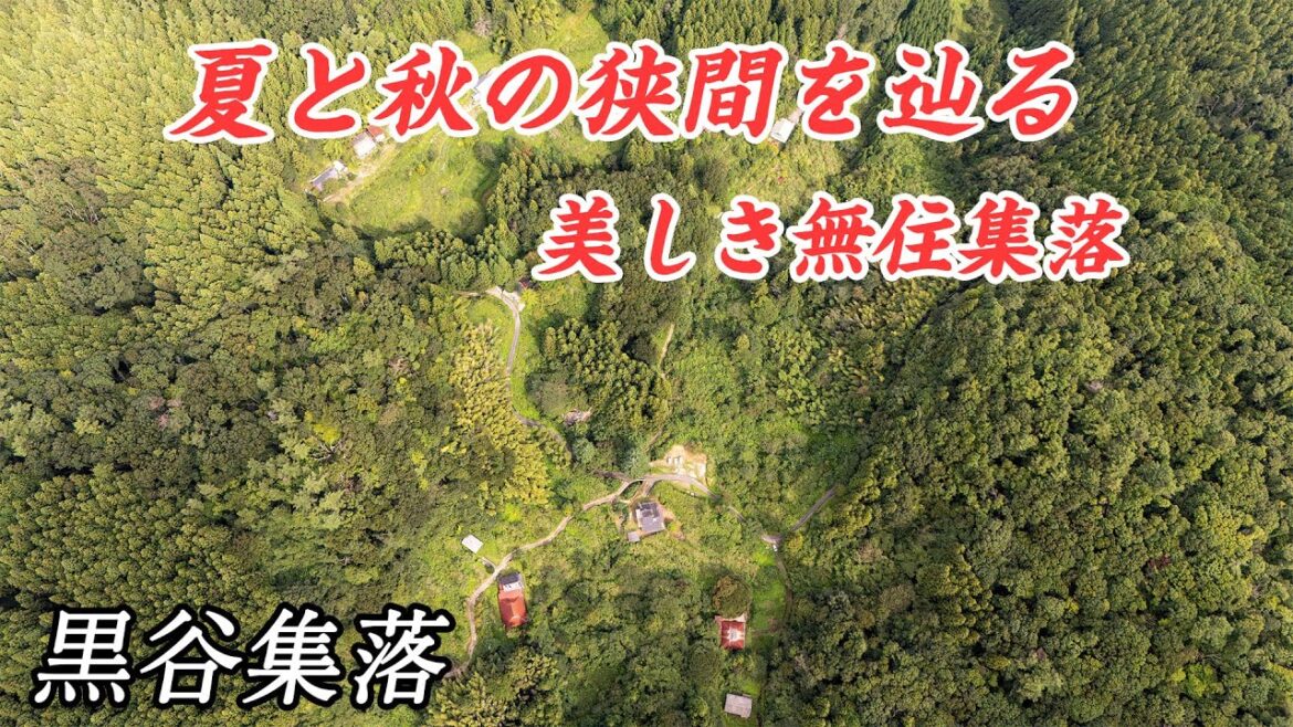 自然の音を聞きながら無住集落を巡る - 湯来町 黒谷集落