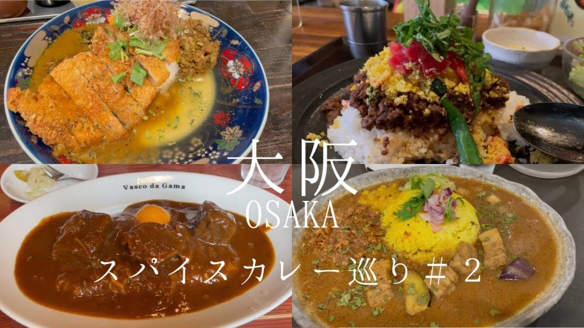大阪スパイスカレー巡り第二弾！夏だ！カレーだ！2025年夏に行ったおすすめ店！