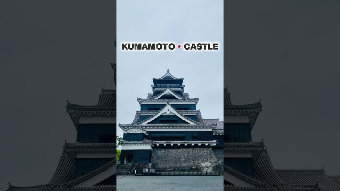🇯🇵The Hidden Charm of Kumamoto Castle! #travel #shorts #short #japan #kumamoto