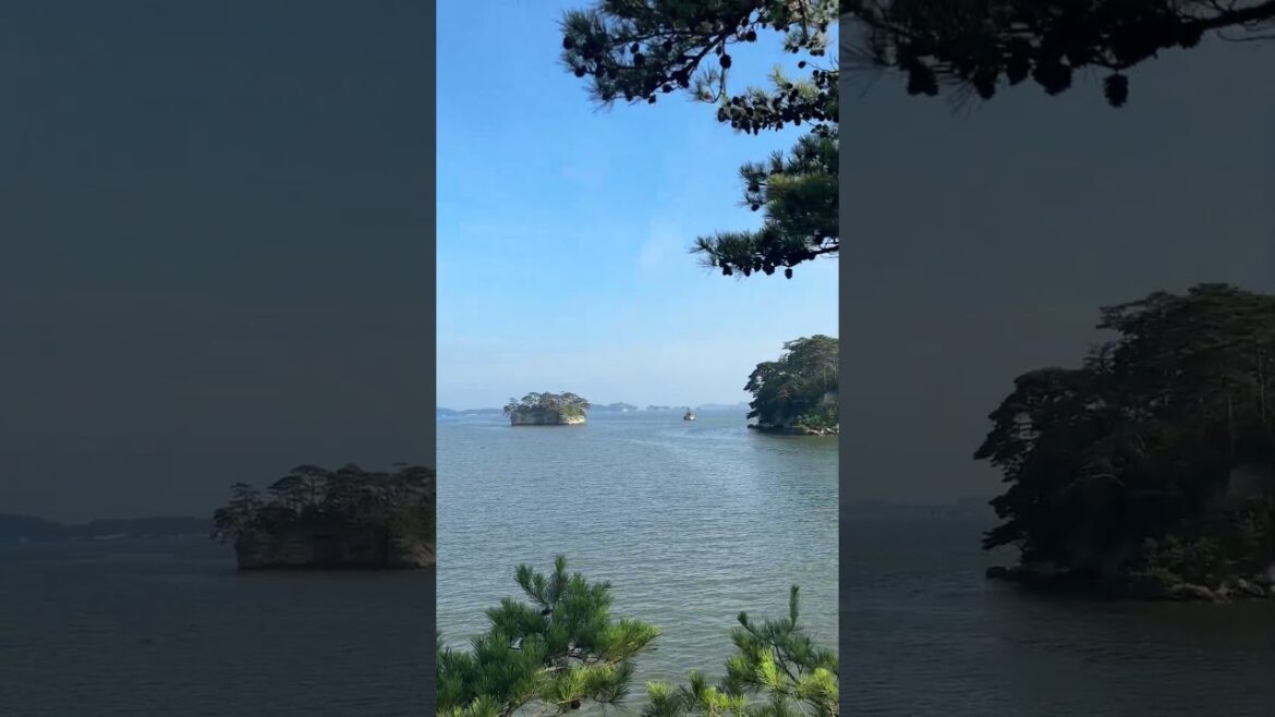 Matsushima Bay Sendai🇯🇵🚢⛴️⛩️🌳#travel #japan #bayarea #explorepage #sendai #ocean