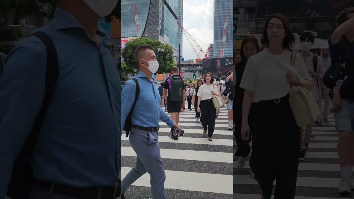Shibuya in Japanlife #travel #streetphotography #vlog #旅行 #trip