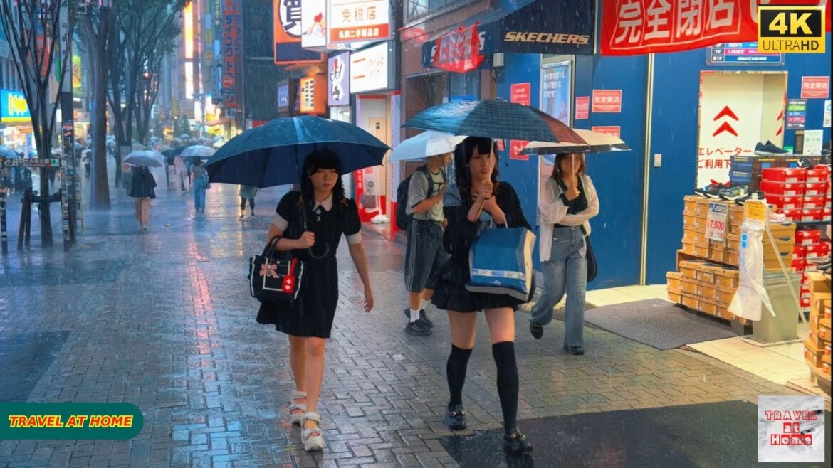4K HDR Japan travel 2025 | Heavy Rain Walk in Shinjuku(新宿)Tokyo Japan | Relax Natural City ambience 4K HDR Japan travel 2025 | Heavy Rain Walk in Shinjuku(新宿)Tokyo Japan | Relax Natural City ambience